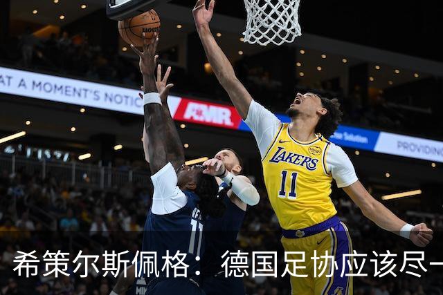 希策尔斯佩格：德国足协应该尽一切努力，让特雷索尔迪选德国